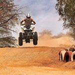 پکیج طلایی سافاری کیش