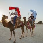 شتر سواری در کیش