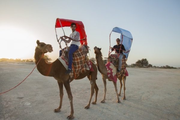 شتر سواری در کیش