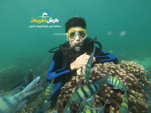غواصی VIP کیش